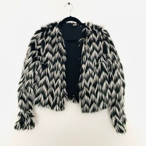 Faux skunk fur Coat